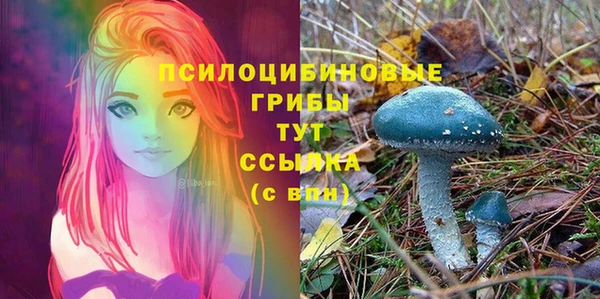 гидропоника Костерёво
