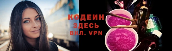 мдпв Козельск