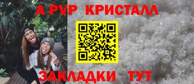 ECSTASY Гай