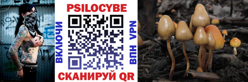 цены Мичуринск Псилоцибиновые грибы мицелий
