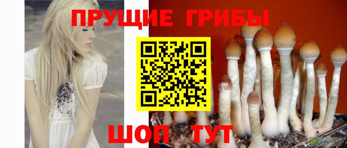 Галлюциногенные грибы Magic Shrooms  Вход с VPN  Мичуринск 