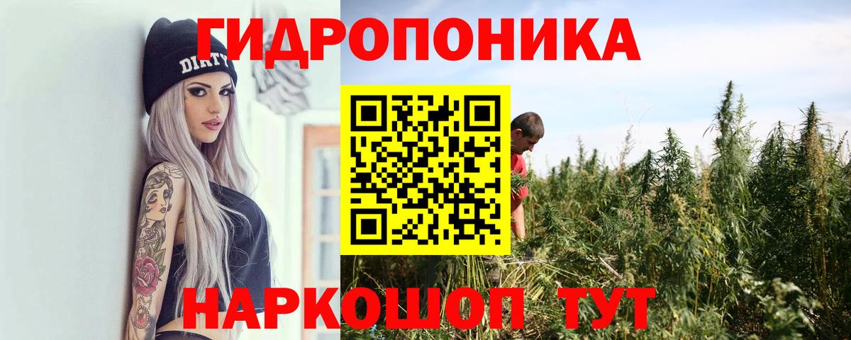 Марихуана индика  Шишки марихуана THC 21%  Бошки марихуана марихуана  Мичуринск  Вход с VPN  Бошки Шишки гибрид 